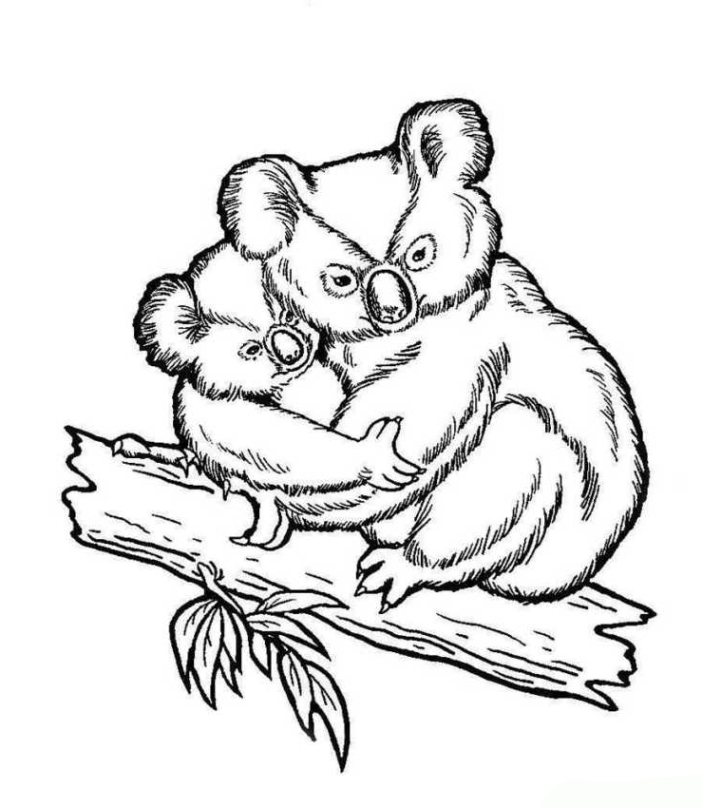 Malvorlagen zum Drucken Ausmalbild Koala kostenlos 2