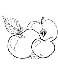 Ausmalbild Apfel  kostenlos 3