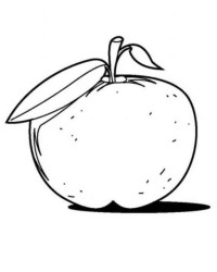 Ausmalbild Apfel  kostenlos 8