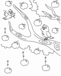 Ausmalbild Apfelbaum kostenlos 1