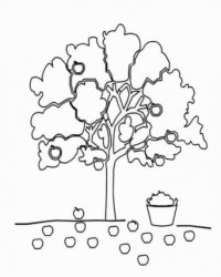 Ausmalbild Apfelbaum kostenlos 2