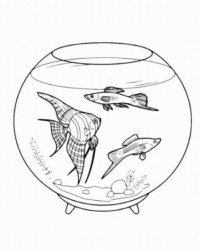 Ausmalbild Aquariumfische kostenlos 4