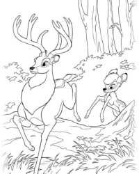 Ausmalbild Bambi kostenlos 2