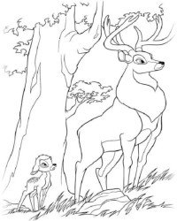 Ausmalbild Bambi kostenlos 3