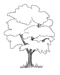 Ausmalbild Baum kostenlos 2