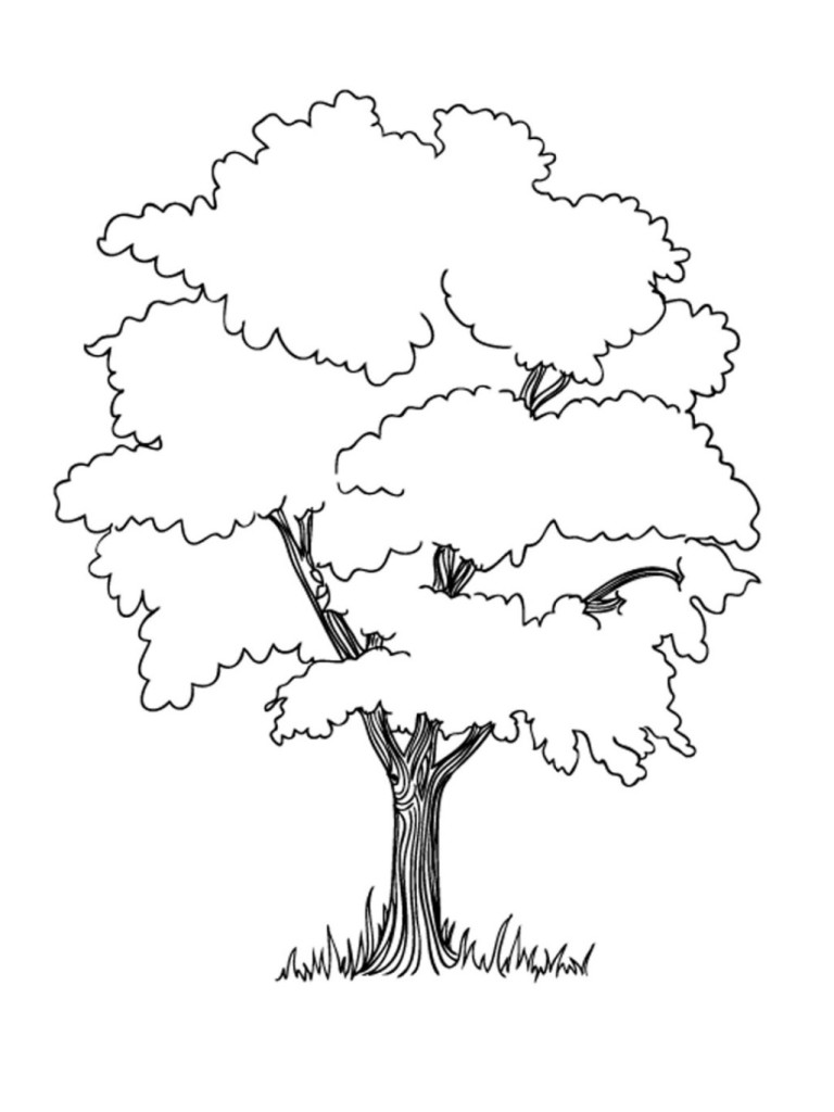 Ausmalbild Baum kostenlos 2