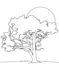 Ausmalbild Baum kostenlos 3