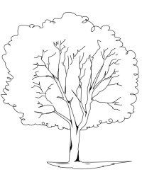 Ausmalbild Baum kostenlos 4