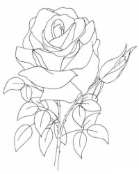 Ausmalbild Blumen kostenlos 1