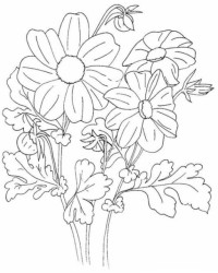 Ausmalbild Blumen kostenlos 3