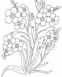 Ausmalbild Blumen kostenlos 5