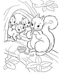 Ausmalbild Eichhörnchen kostenlos 3