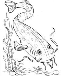 Ausmalbild Fisch  kostenlos 4