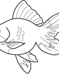 Ausmalbild Fisch  kostenlos 5