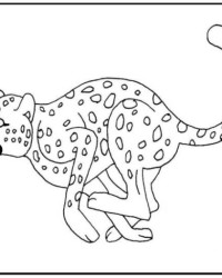 Ausmalbild Gepard kostenlos 1