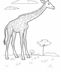 Ausmalbild Giraffe kostenlos 2