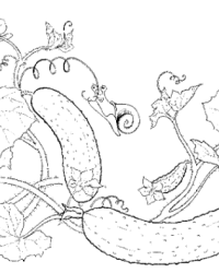 Ausmalbild Gurke kostenlos 2