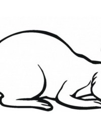 Ausmalbild Hase  kostenlos 4