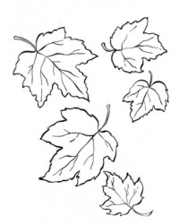 Ausmalbild Herbst kostenlos 1