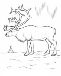 Ausmalbild Hirsch kostenlos 3
