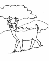 Ausmalbild Hirsch kostenlos 5