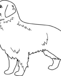 Ausmalbild Hund kostenlos 6
