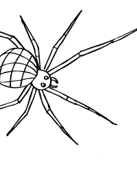Ausmalbild Insekten kostenlos 1