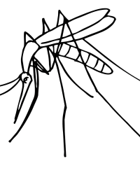 Ausmalbild Insekten kostenlos 3
