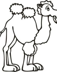 Ausmalbild Kamel kostenlos 3