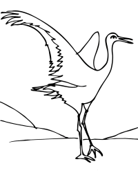 Ausmalbild Kranich kostenlos 2