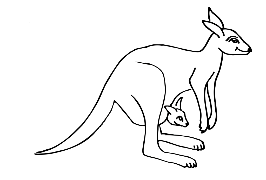 Ausmalbild Känguru kostenlos 2
