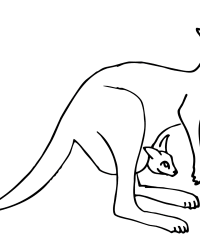 Ausmalbild Känguru kostenlos 2