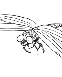 Ausmalbild Libelle kostenlos 1
