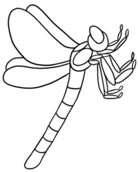 Ausmalbild Libelle kostenlos 2