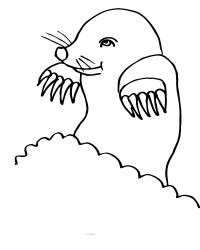 Ausmalbild Maulwurf kostenlos 1