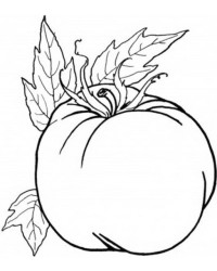 Ausmalbild Obst und Gemüse kostenlos 6