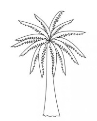 Ausmalbild Palme kostenlos 3