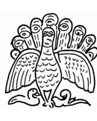 Ausmalbild Pfau kostenlos 3