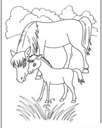 Ausmalbild Pferd kostenlos 2