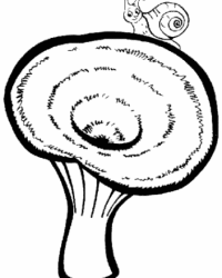 Ausmalbild Pilz kostenlos 1