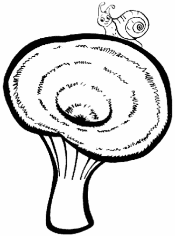 Malvorlagen zum Drucken Ausmalbild Pilz kostenlos 1