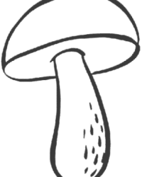 Ausmalbild Pilz kostenlos 3