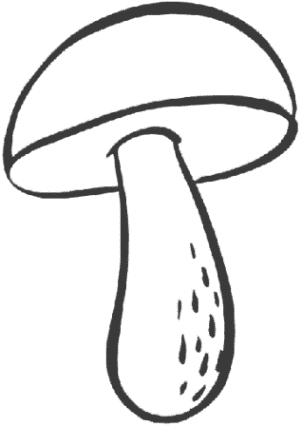 Malvorlagen zum Drucken Ausmalbild Pilz kostenlos 3