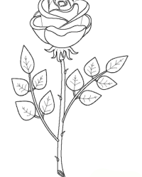 Ausmalbild Rose kostenlos 1
