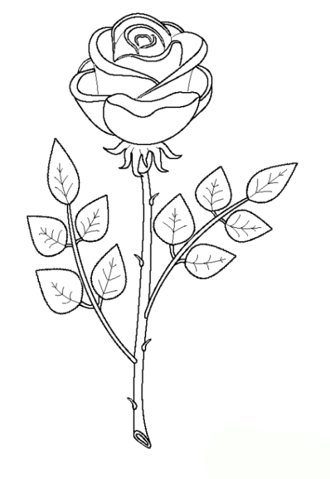 rose zum ausmalen