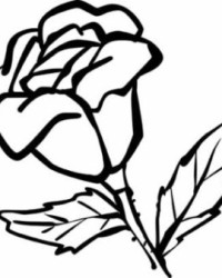 Ausmalbild Rose kostenlos 2