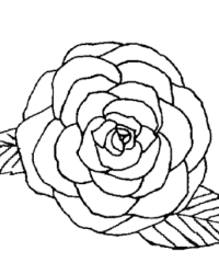 Ausmalbild Rose kostenlos 3