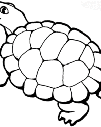 Ausmalbild Schildkröte kostenlos 2