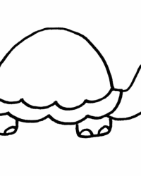 Ausmalbild Schildkröte kostenlos 3