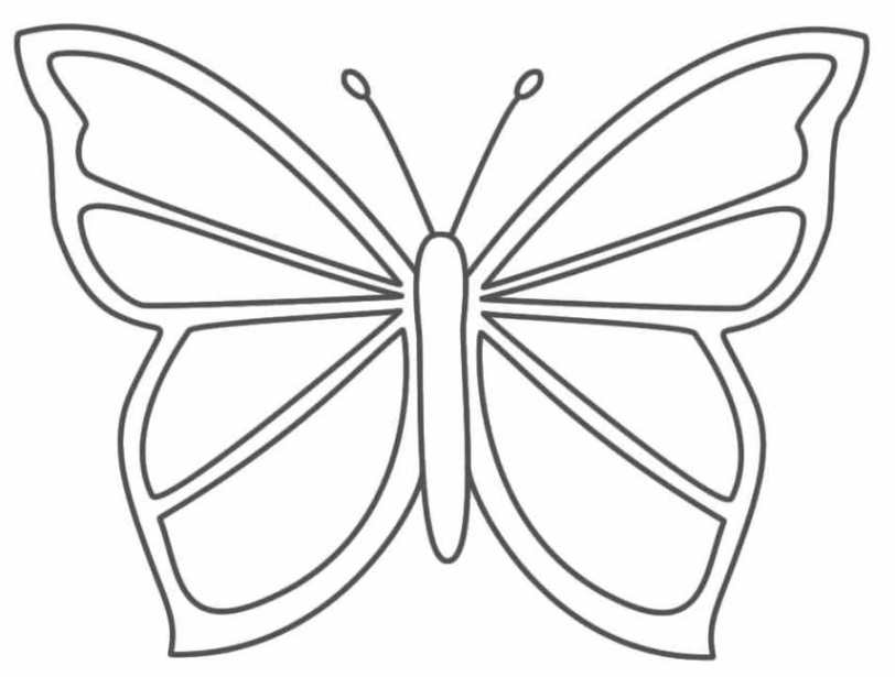 Ausmalbild Schmetterling kostenlos 1